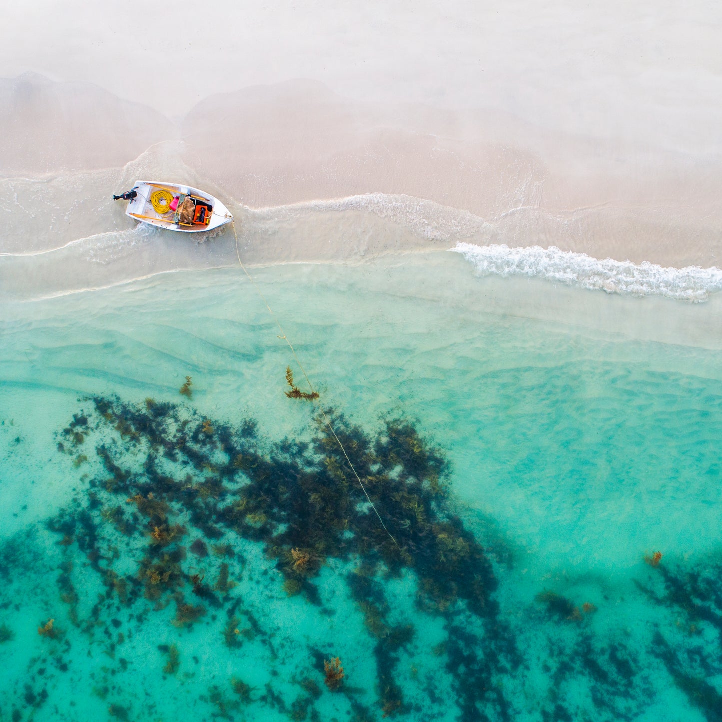 IA0066 ~ Hamelin Bay ~ South West