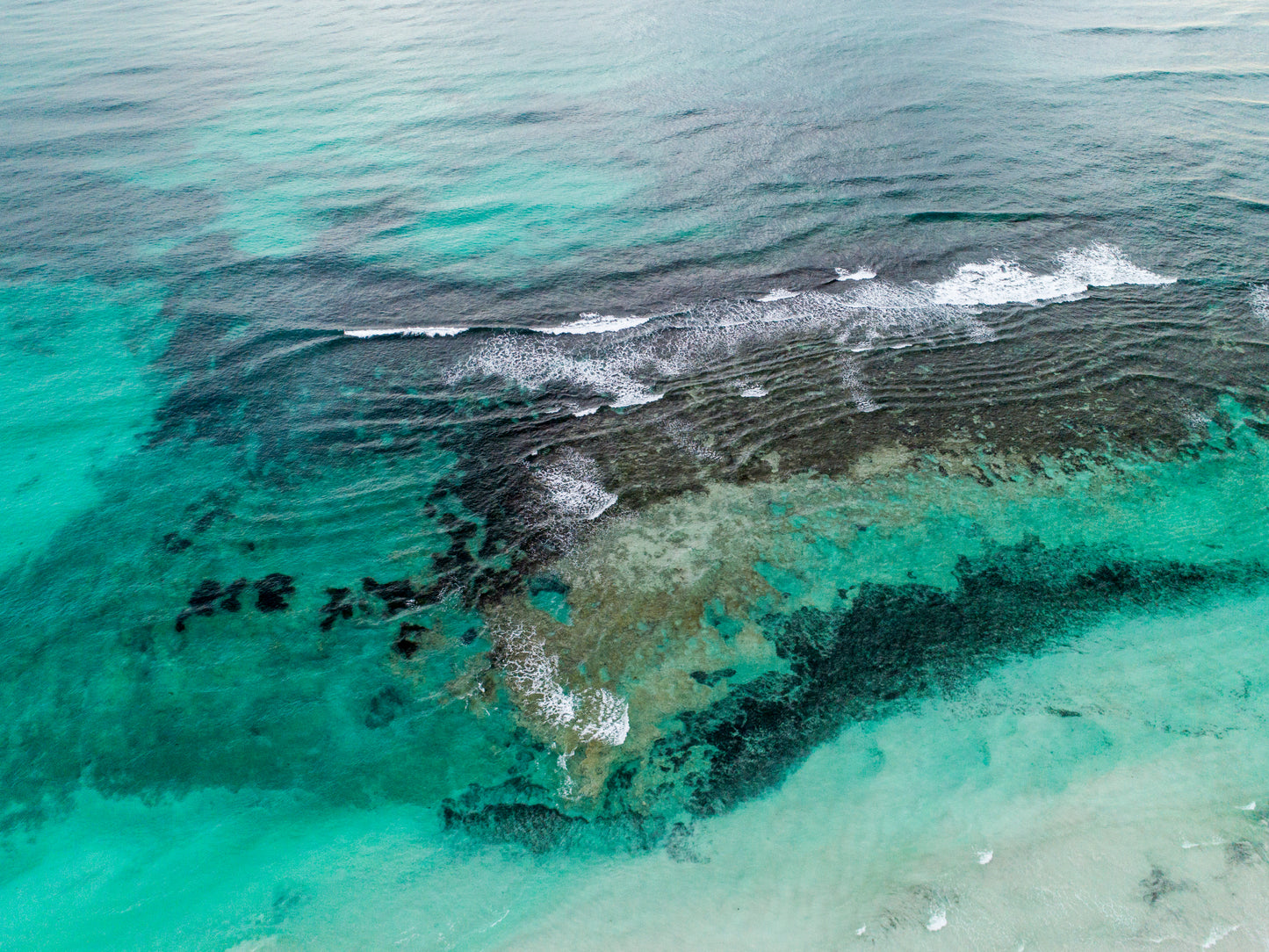 IA0149 - DONGARA