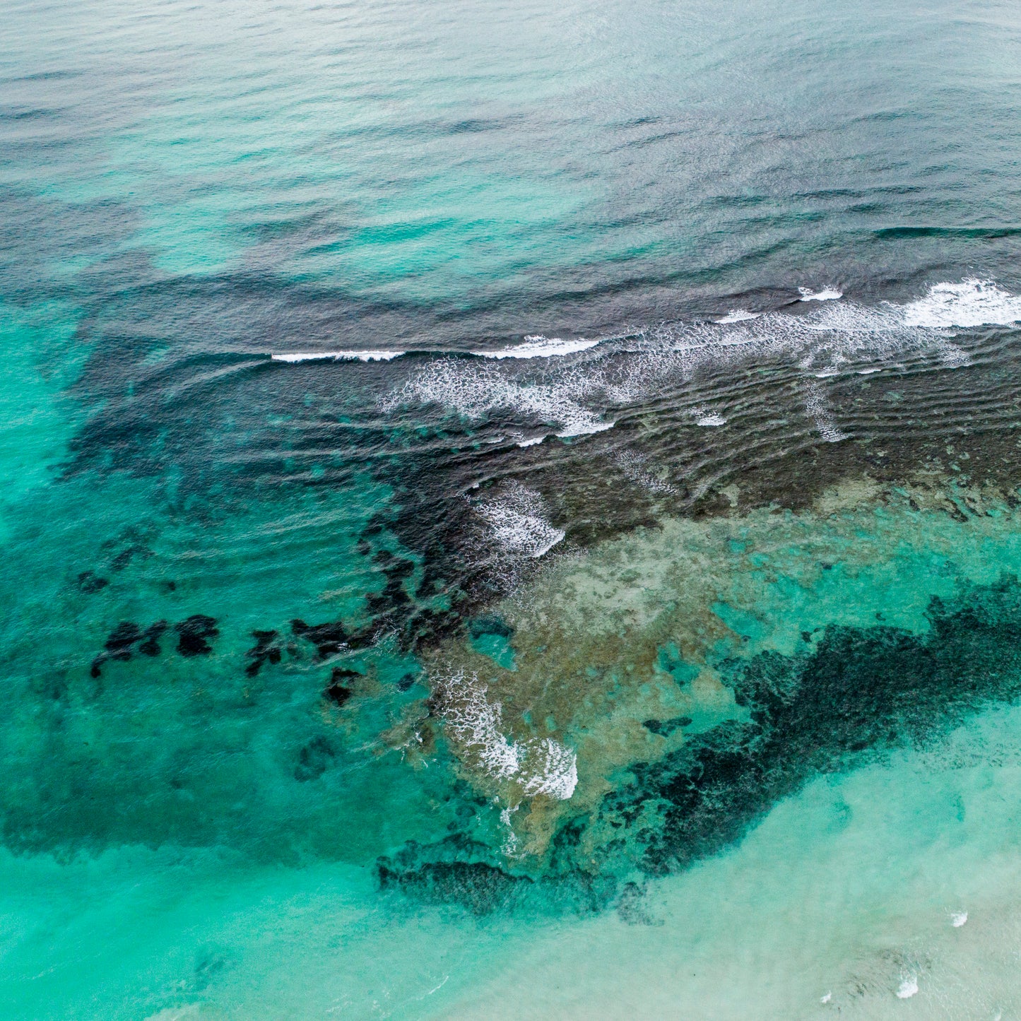 IA0149 - DONGARA
