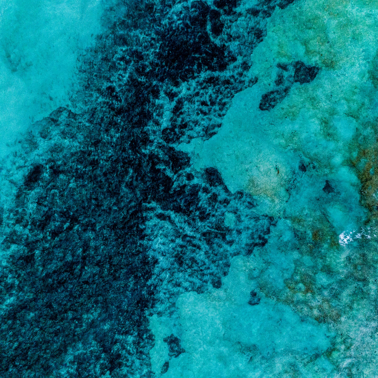 IA0154 - DONGARA