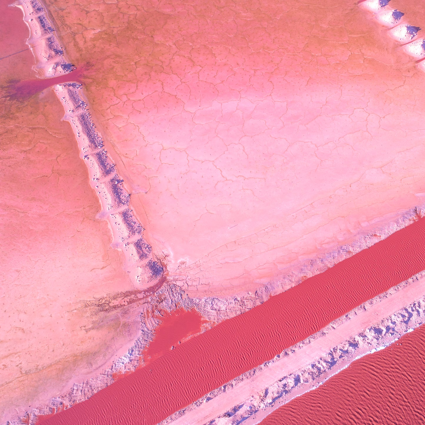 IA0165 - PINK LAKE - HUTT LAGOON