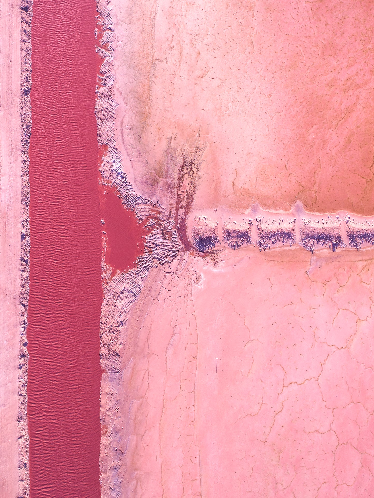 IA0166 - PINK LAKE - HUTT LAGOON