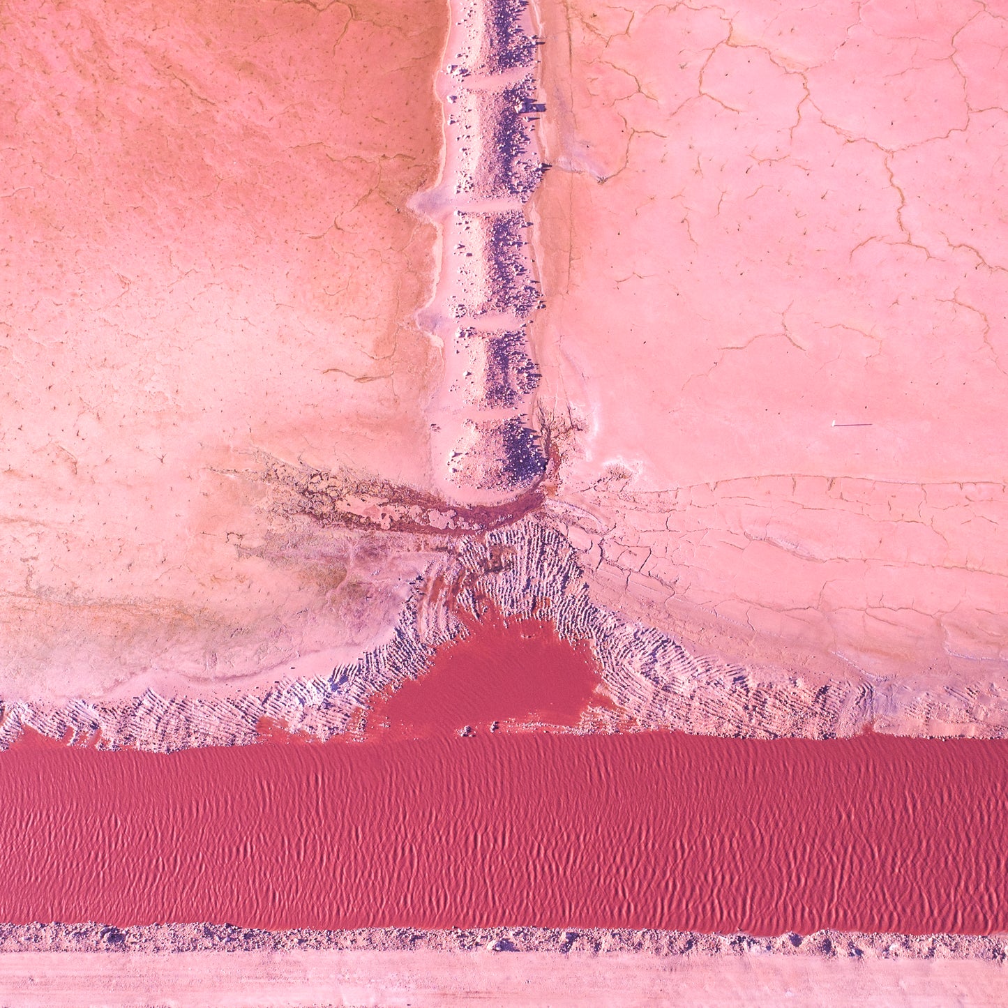 IA0166 - PINK LAKE - HUTT LAGOON