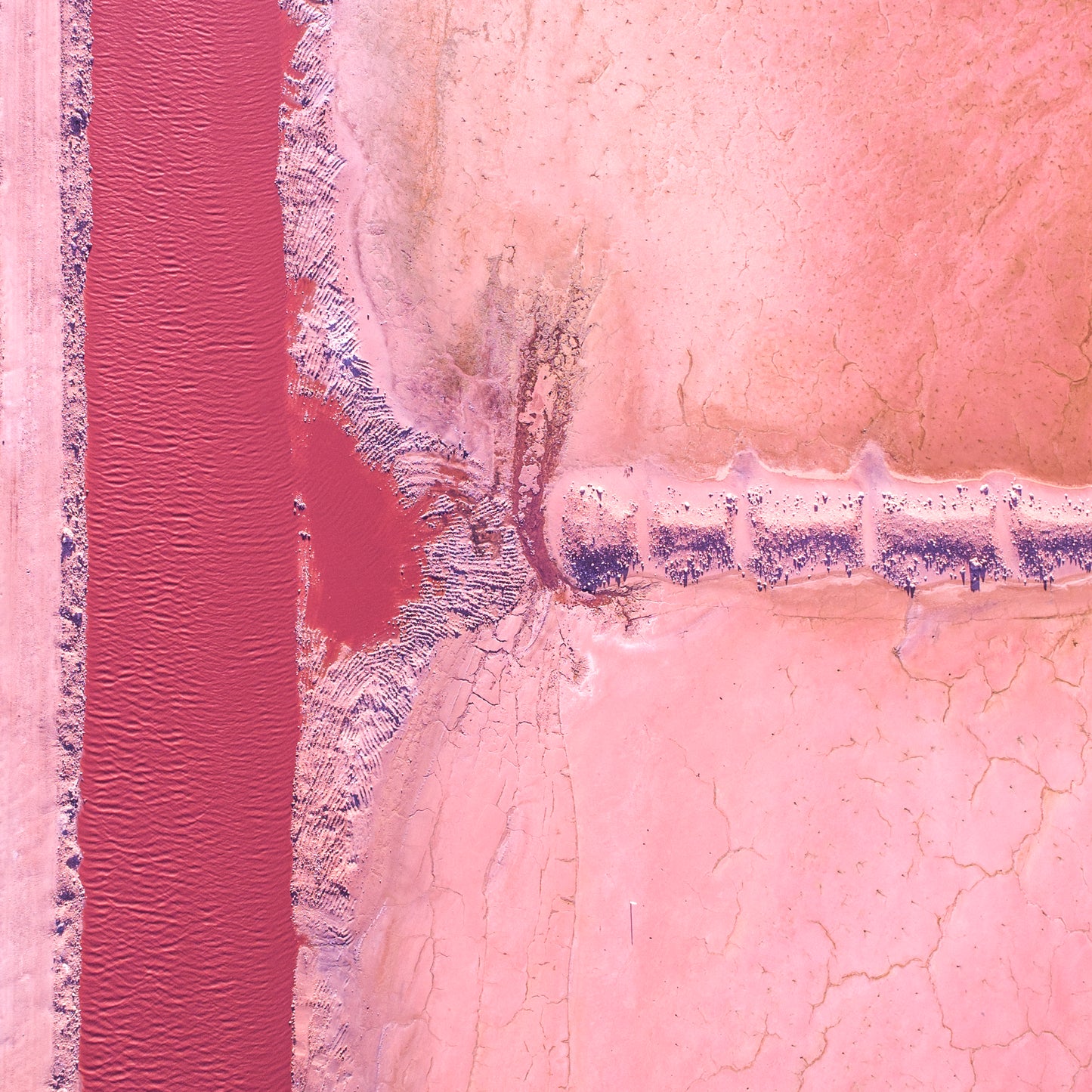 IA0166 - PINK LAKE - HUTT LAGOON