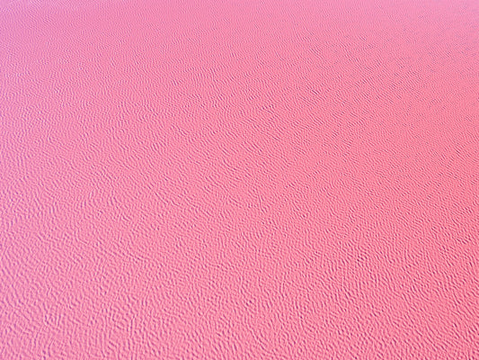 IA0169 - PINK LAKE - HUTT LAGOON