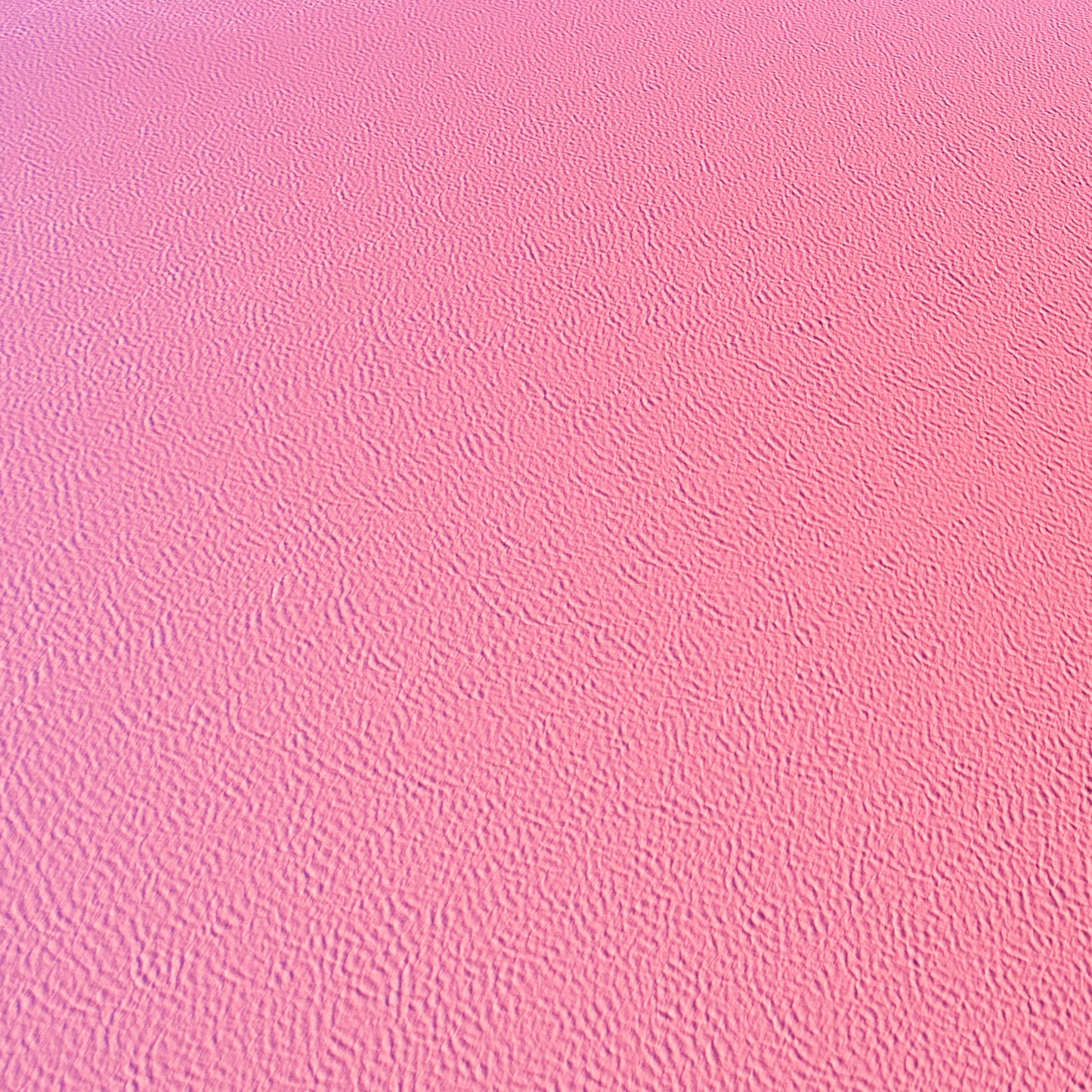 IA0169 - PINK LAKE - HUTT LAGOON