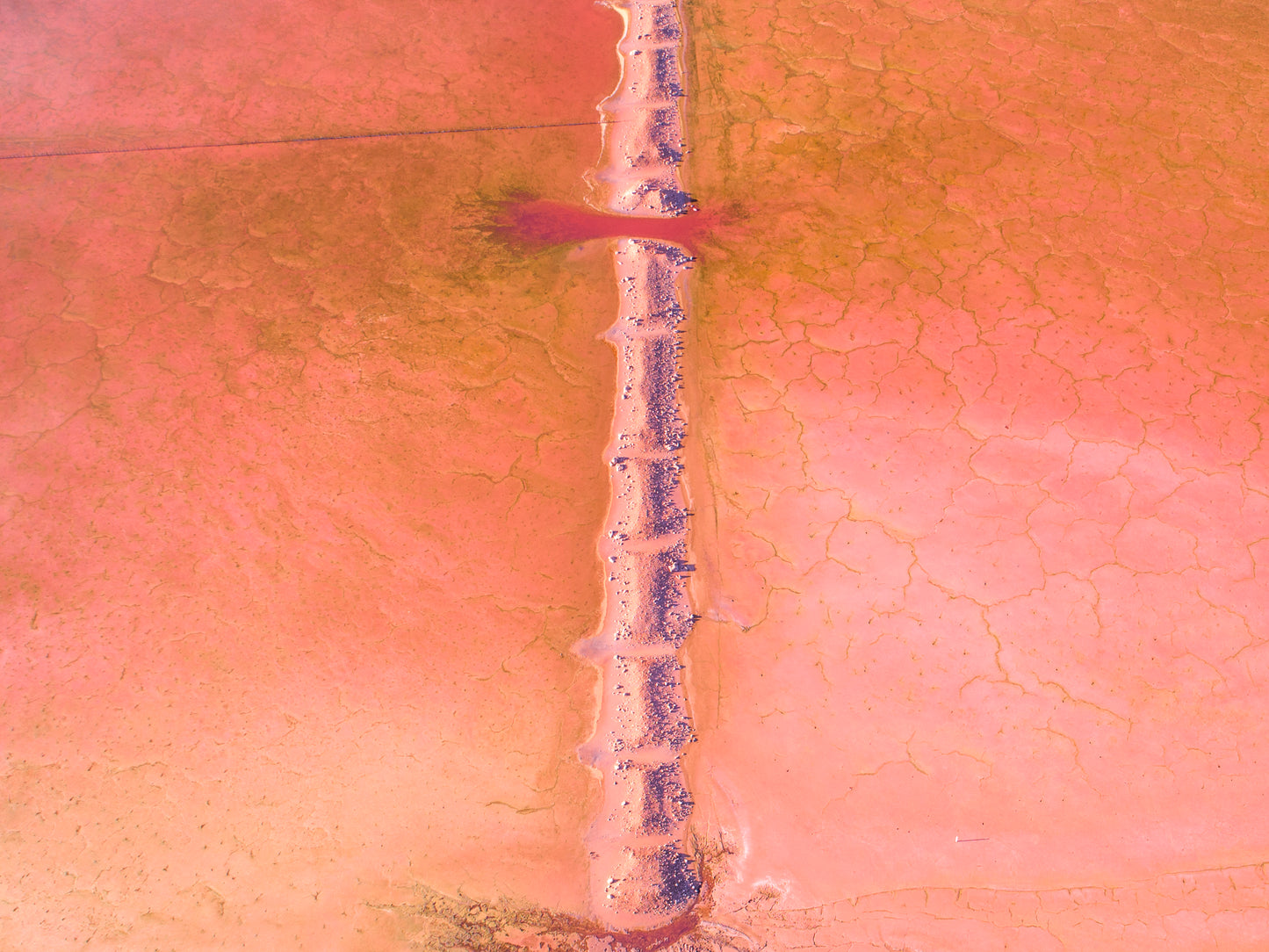IA0170 - PINK LAKE - HUTT LAGOON