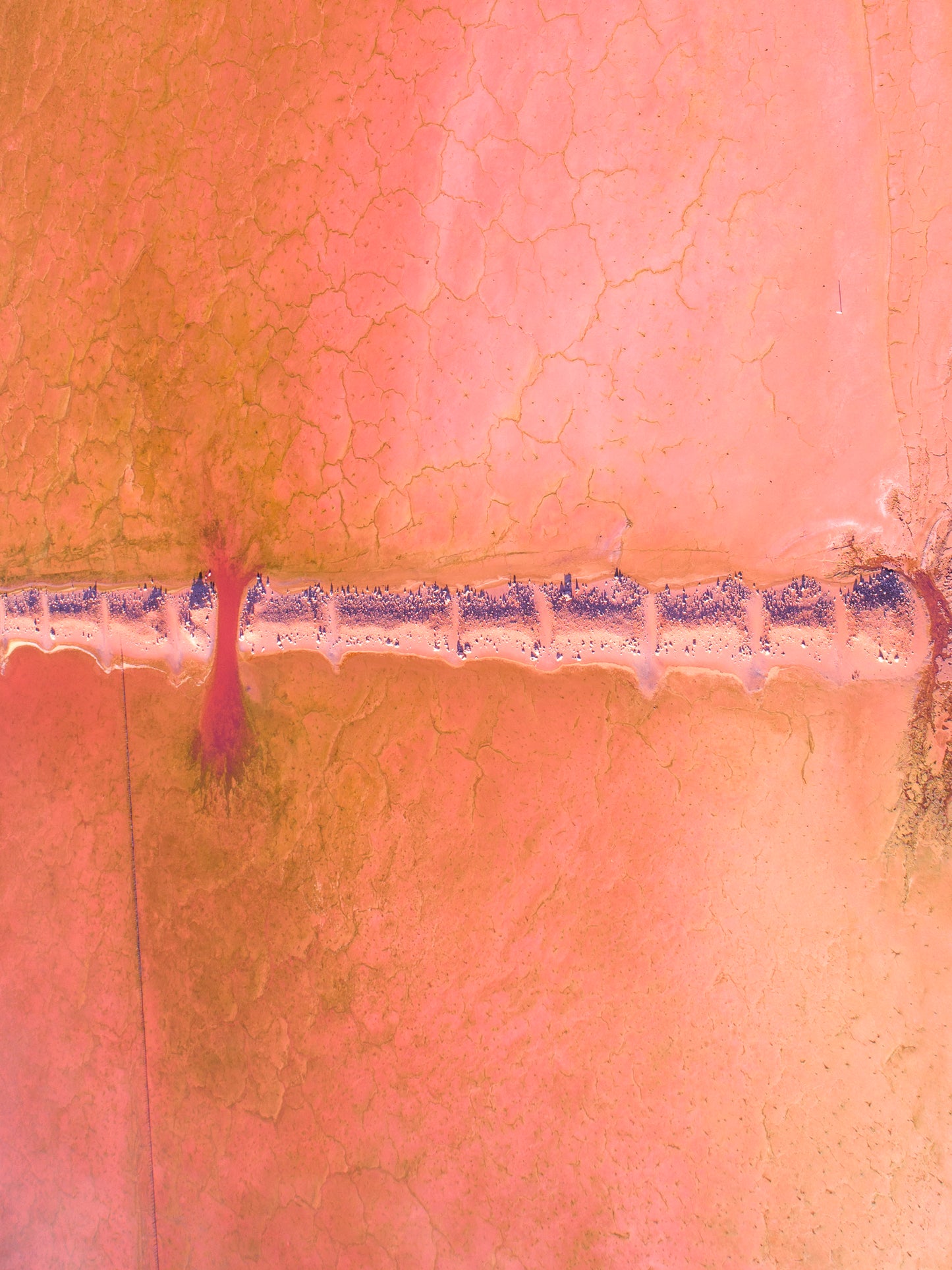 IA0170 - PINK LAKE - HUTT LAGOON