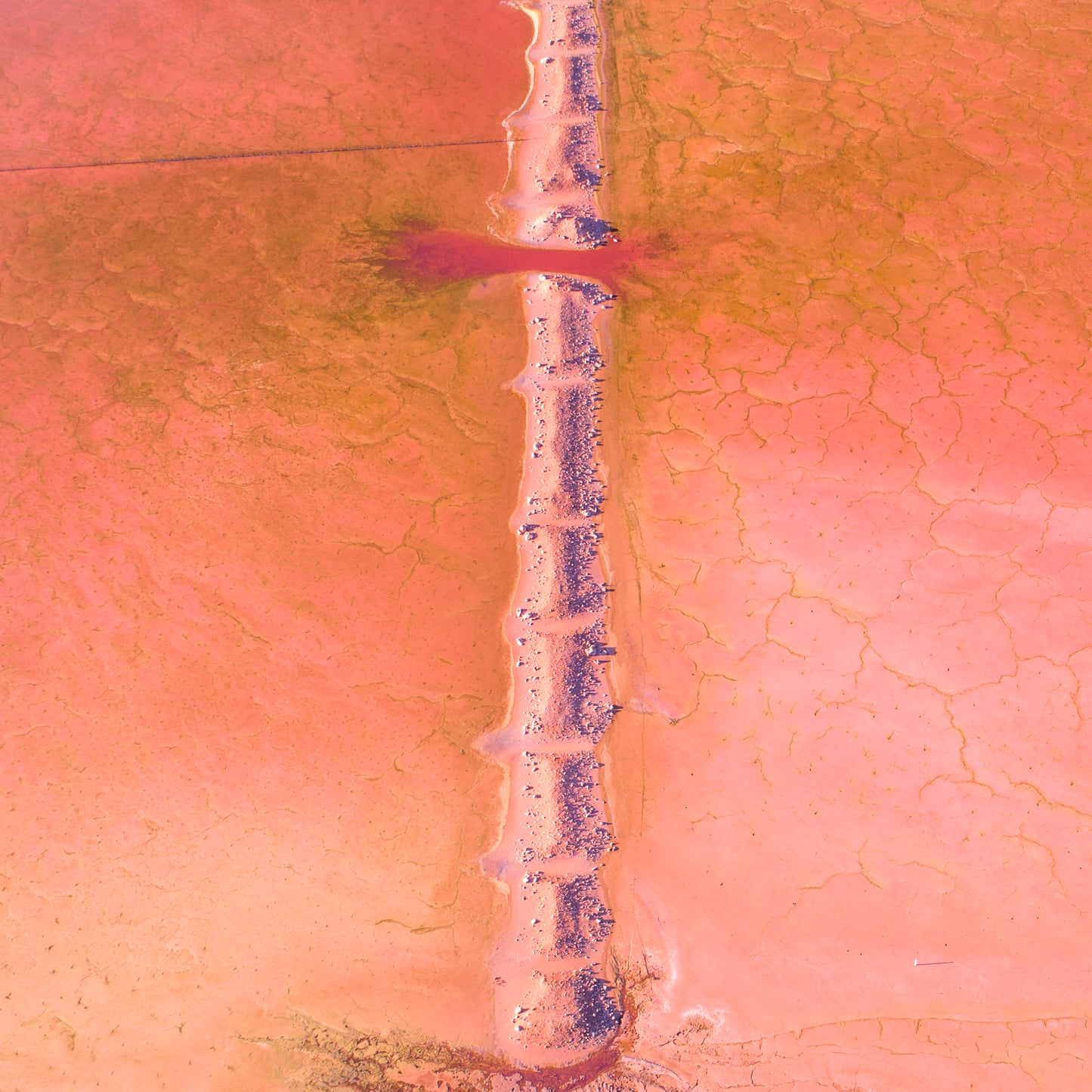 IA0170 - PINK LAKE - HUTT LAGOON