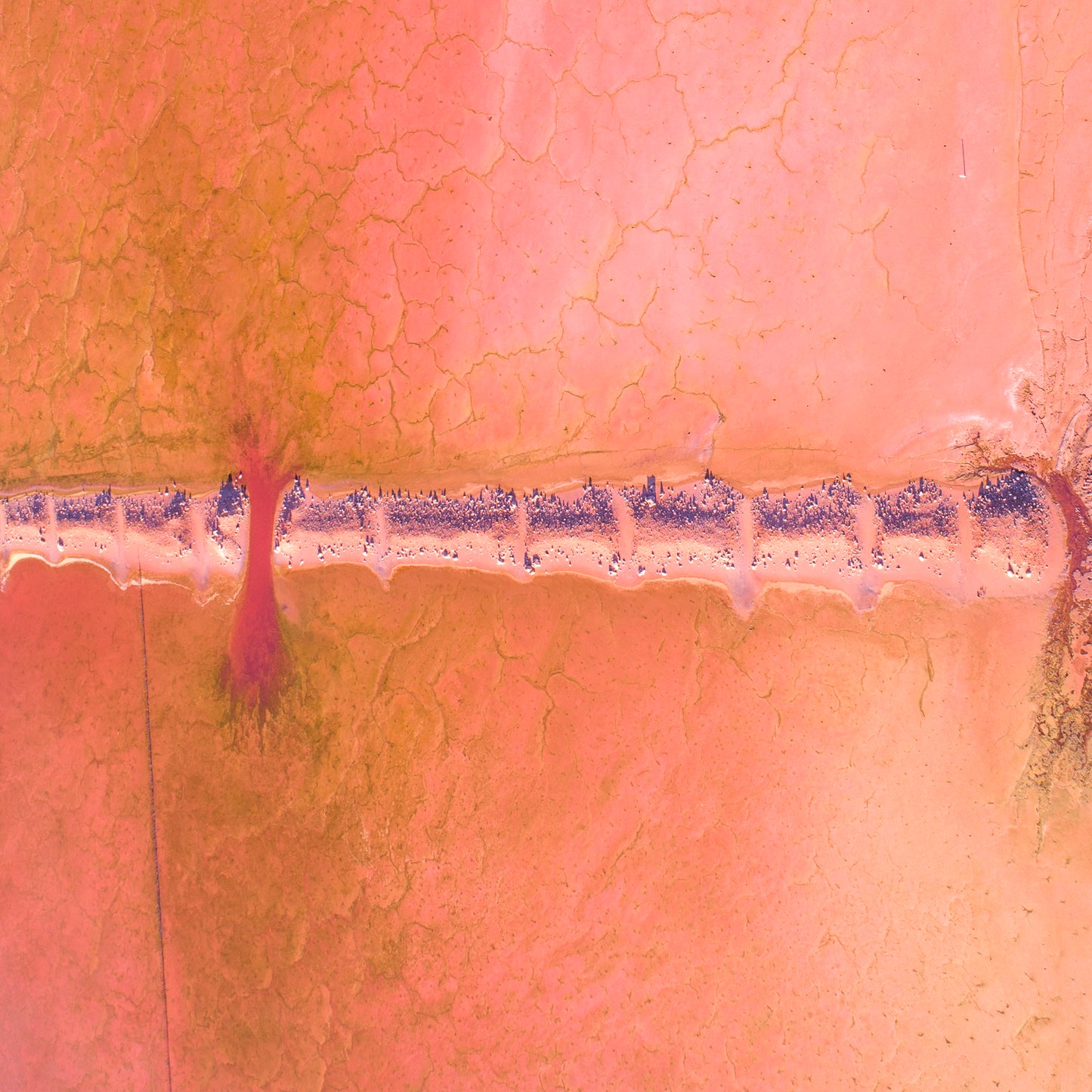 IA0170 - PINK LAKE - HUTT LAGOON