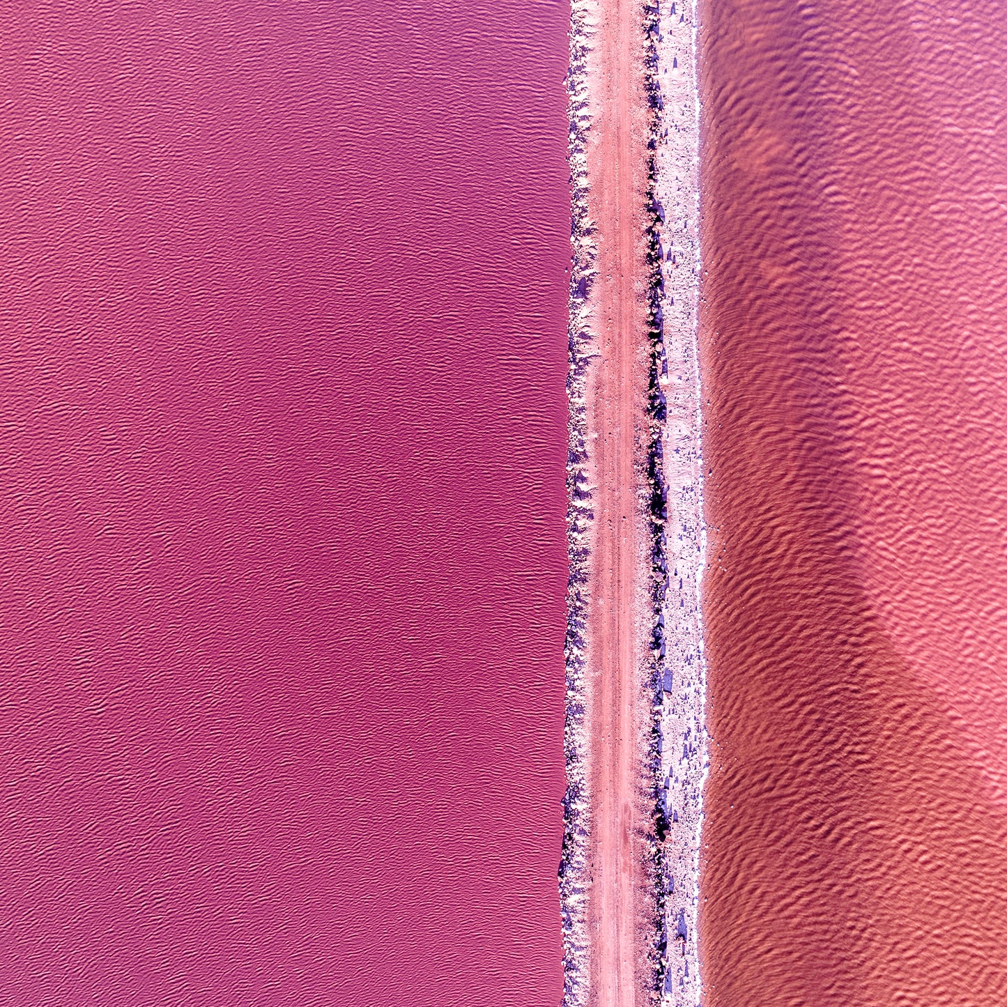 IA0173 - PINK LAKE - HUTT LAGOON