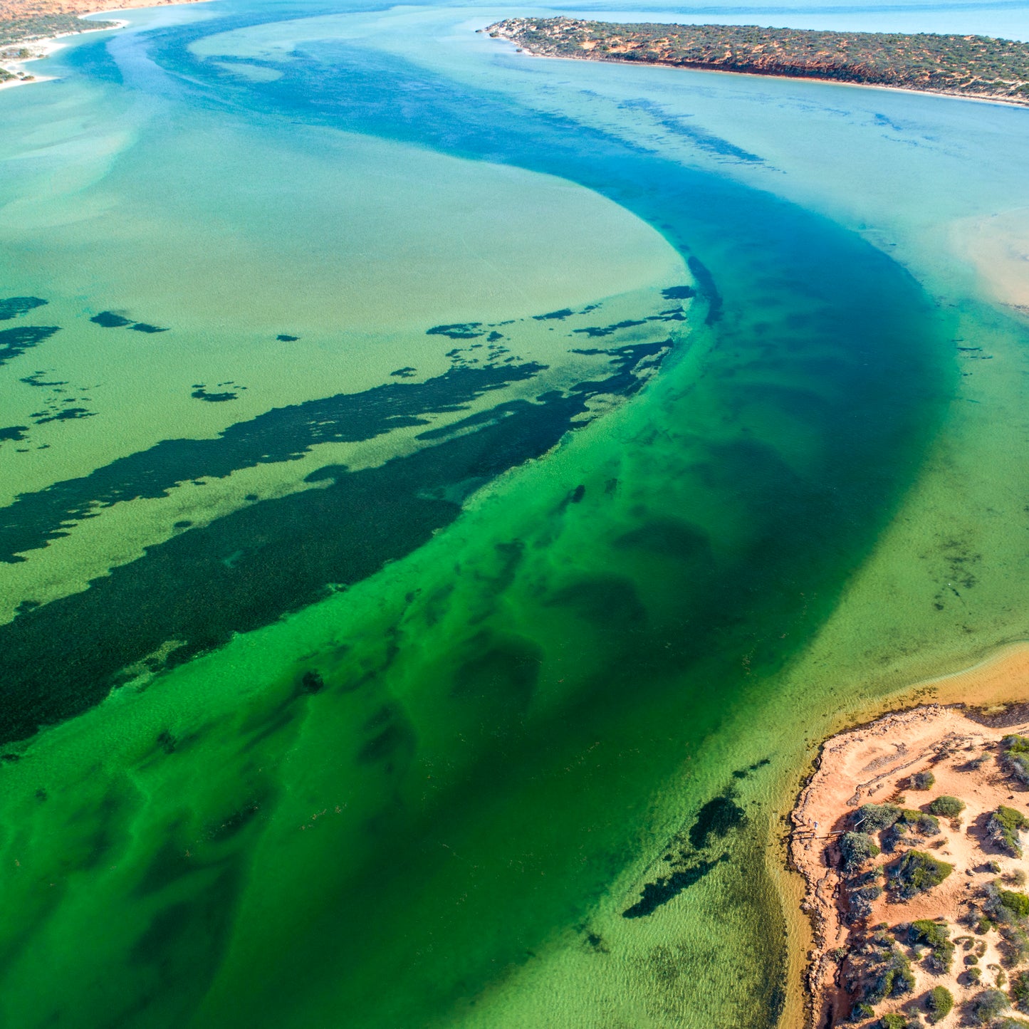 IA0179 - SHARK BAY