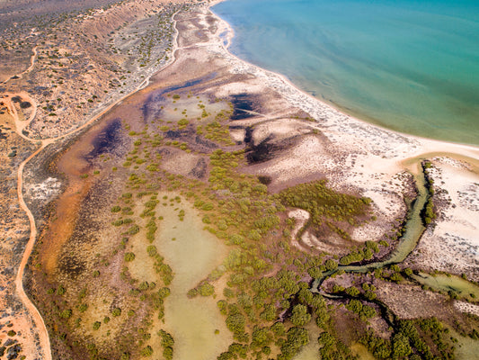 IA0210 - SHARK BAY