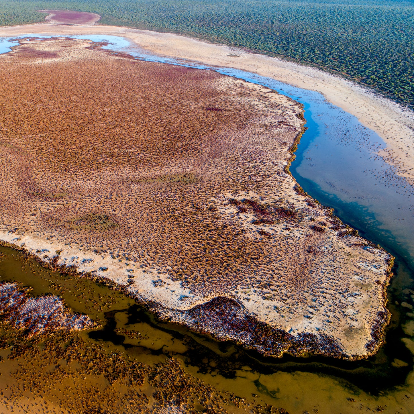 IA0221 - SHARK BAY