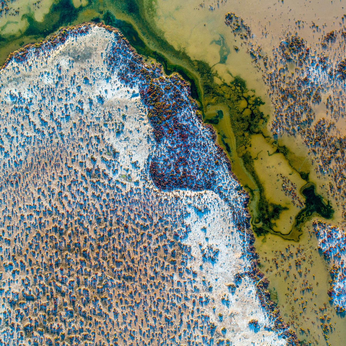 IA0222 - SHARK BAY