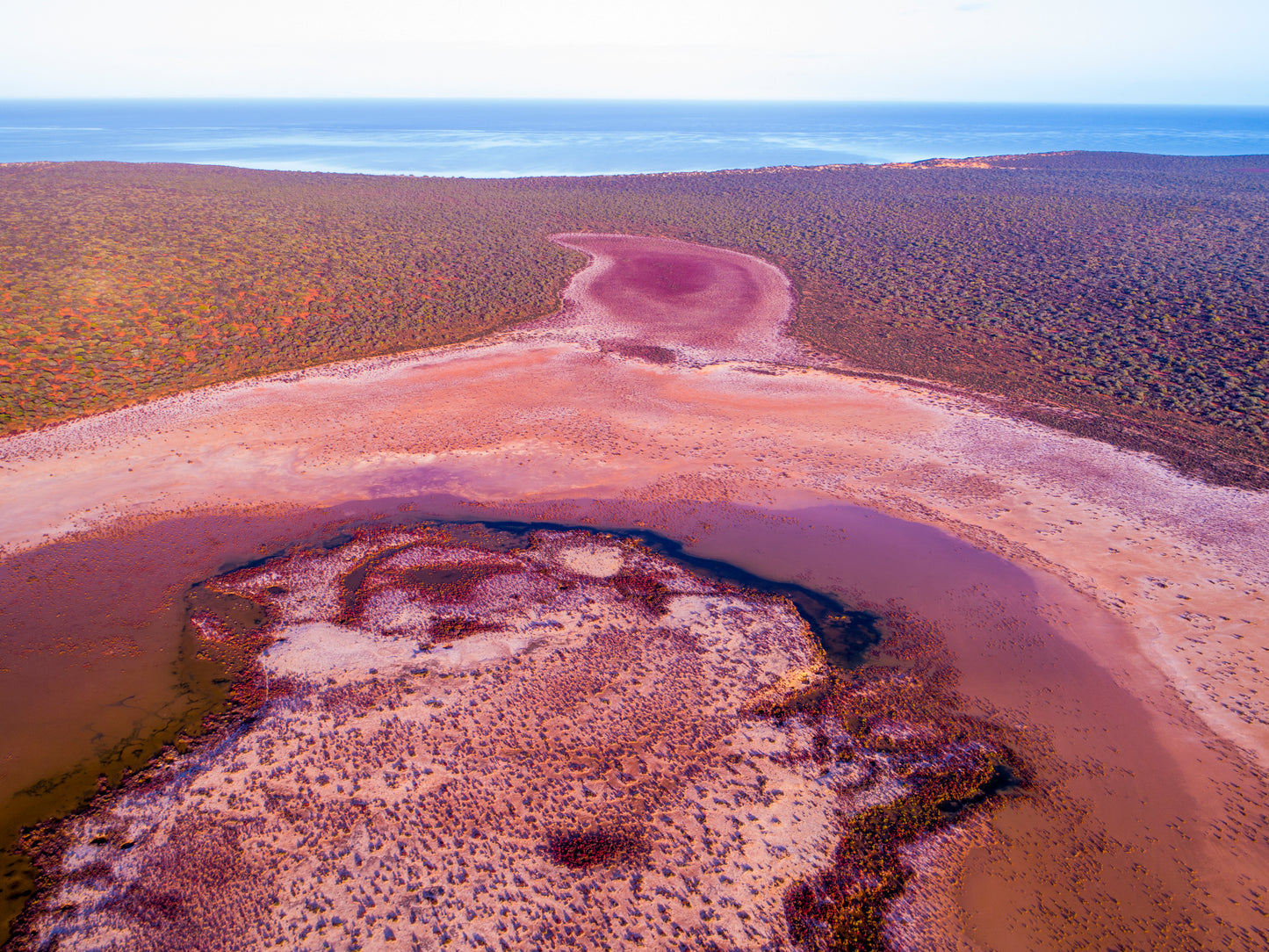 IA0224 ~ Shark Bay ~ Coral Coast