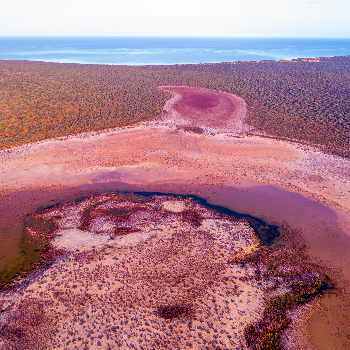 IA0224 ~ Shark Bay ~ Coral Coast