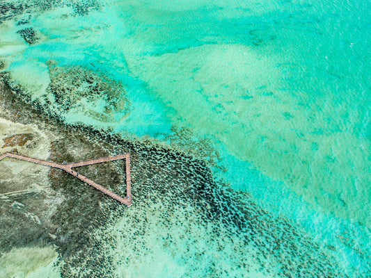 IA0228 - SHARK BAY