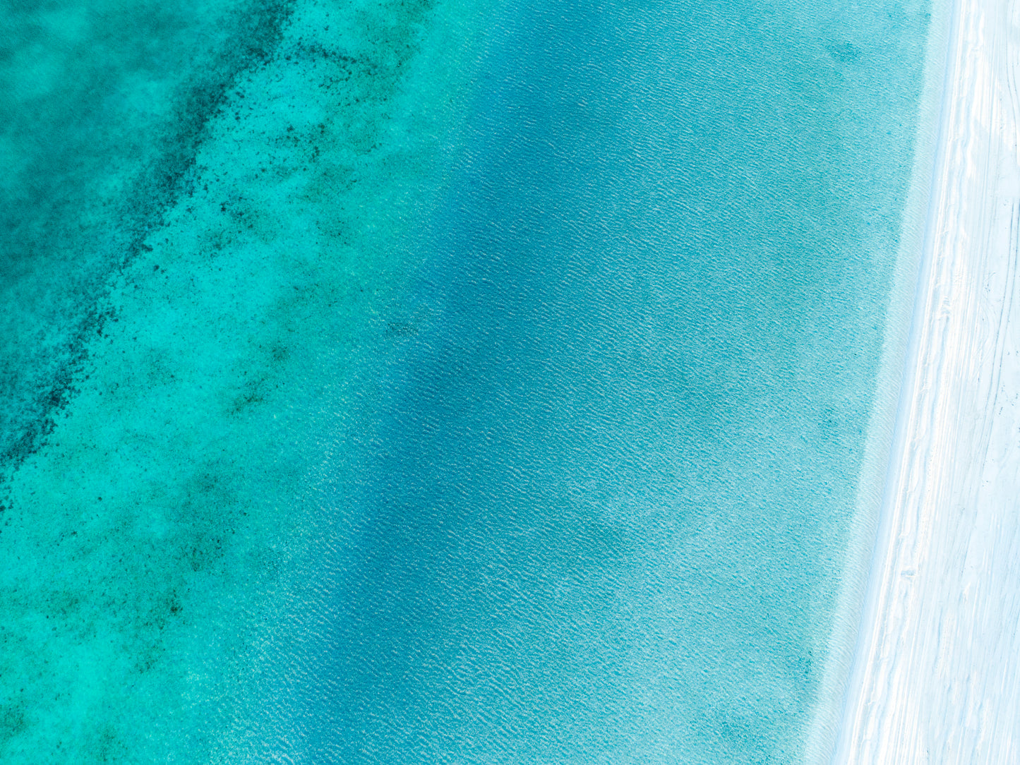 IA0231 ~ Shark Bay ~ Coral Coast