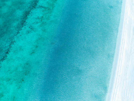 IA0231 - SHARK BAY