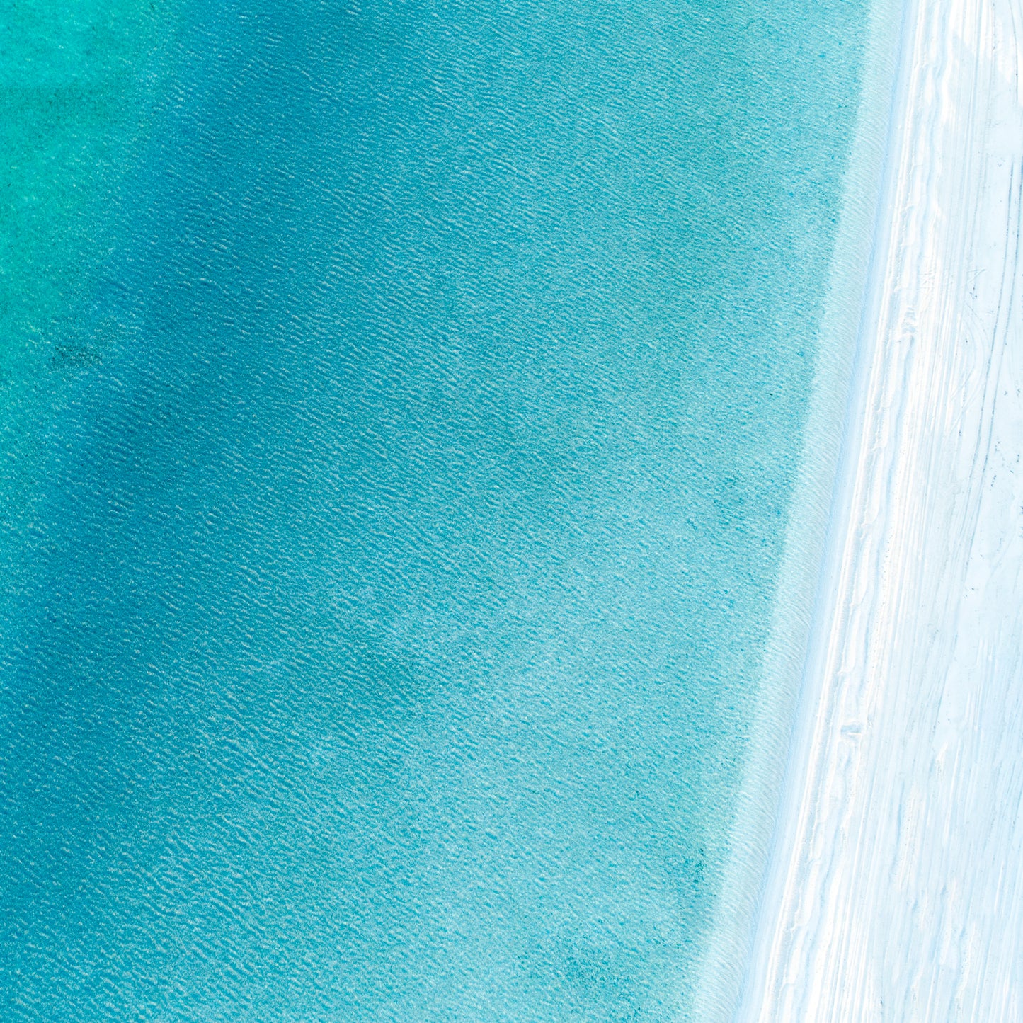 IA0231 ~ Shark Bay ~ Coral Coast