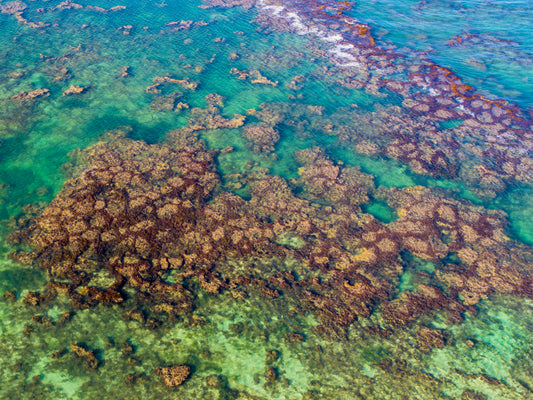 IA0302 - LANCELIN