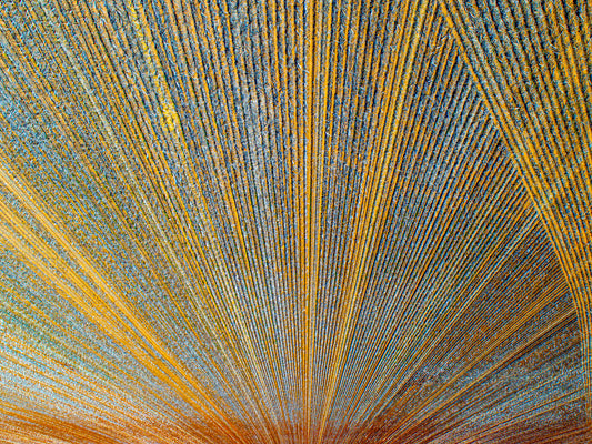 IA0527 ~ Dalwallinu ~ Wheatbelt