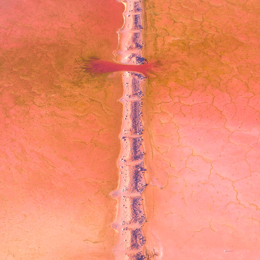 IA0170 ~ Pink Lake ~ Hutt Lagoon