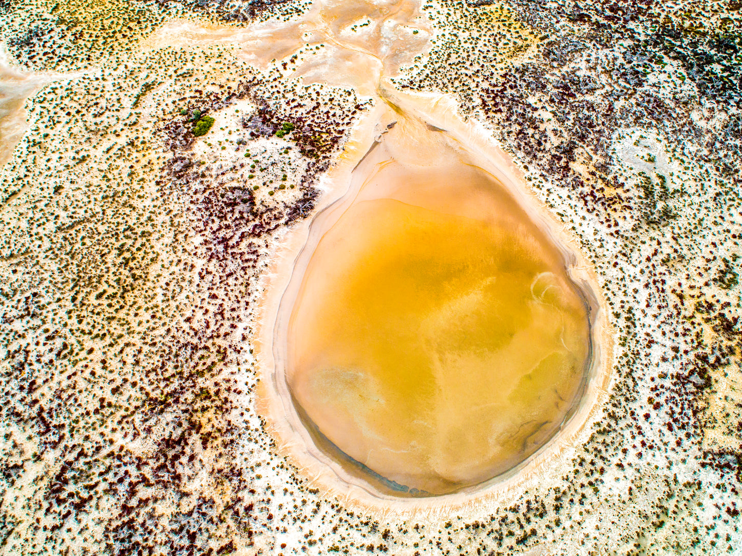IA0332 ~ Pithara ~ Wheatbelt