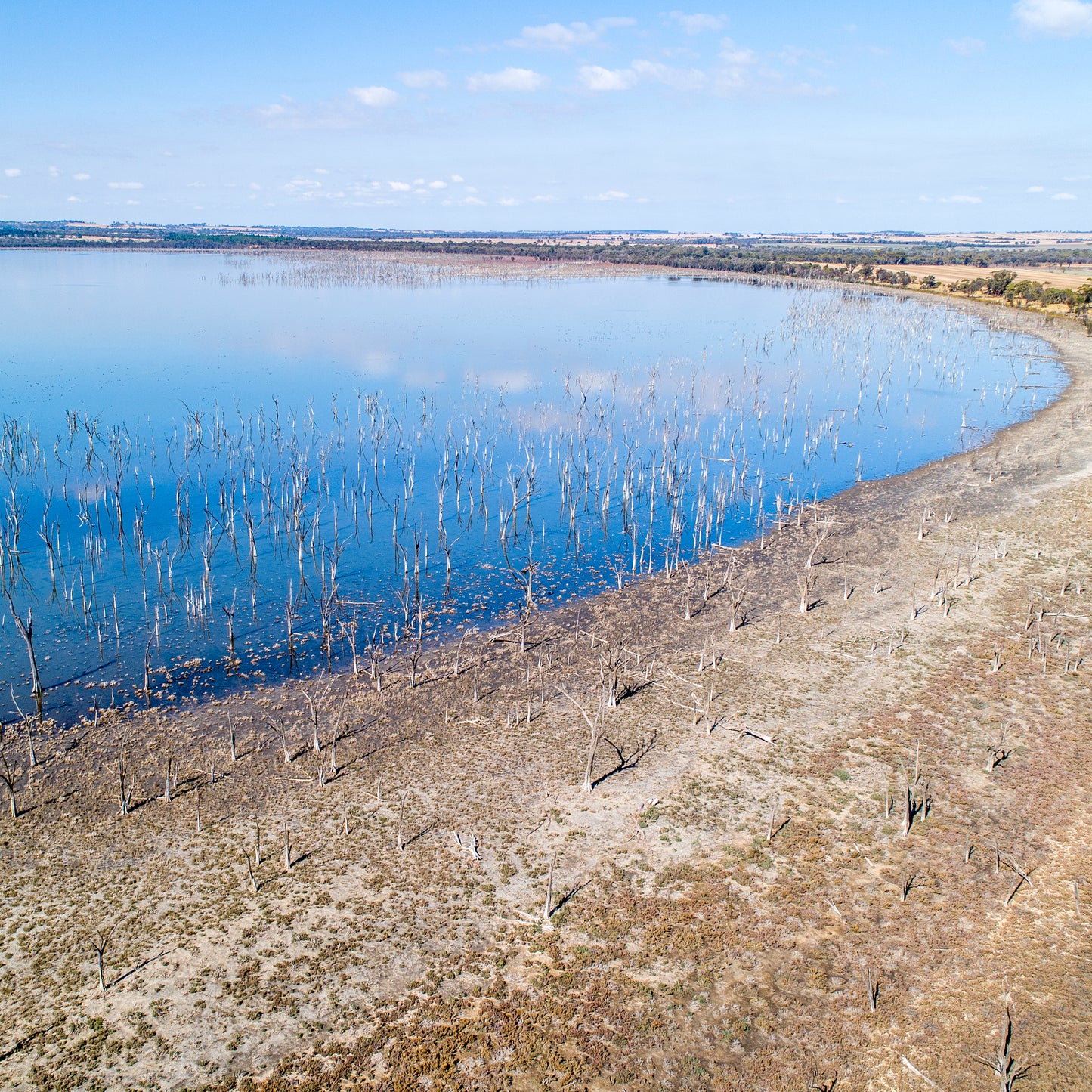 IA0364 - WHEATBELT